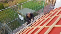 Bauvorhaben Sternberg Doppelhaus: Foto 11