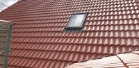 BV Lohmen: Foto 31
